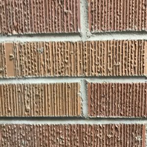 Meet your Posher, Benjamin